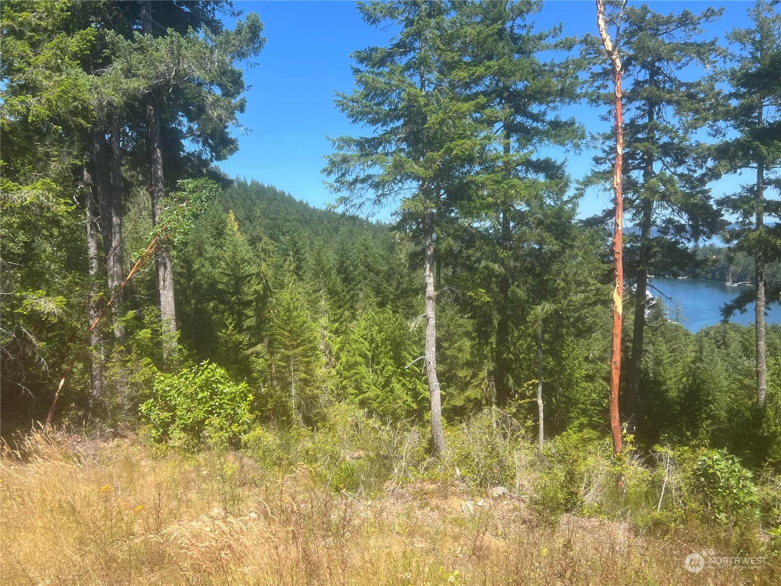 2 Mount Jupiter Road Brinnon WA 98376
