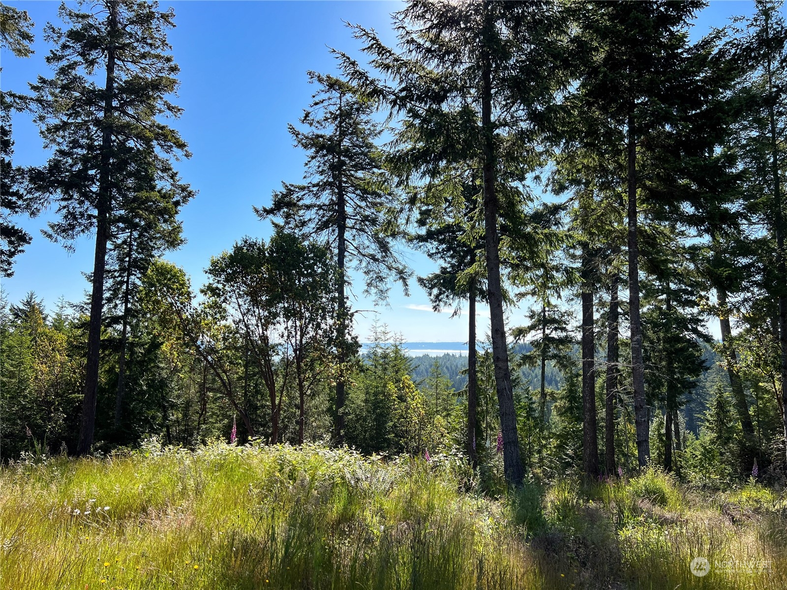 2 Mount Jupiter Road Brinnon WA 98376