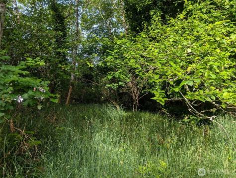 413 Lake View Loop NE Ocean Shores WA 98569
