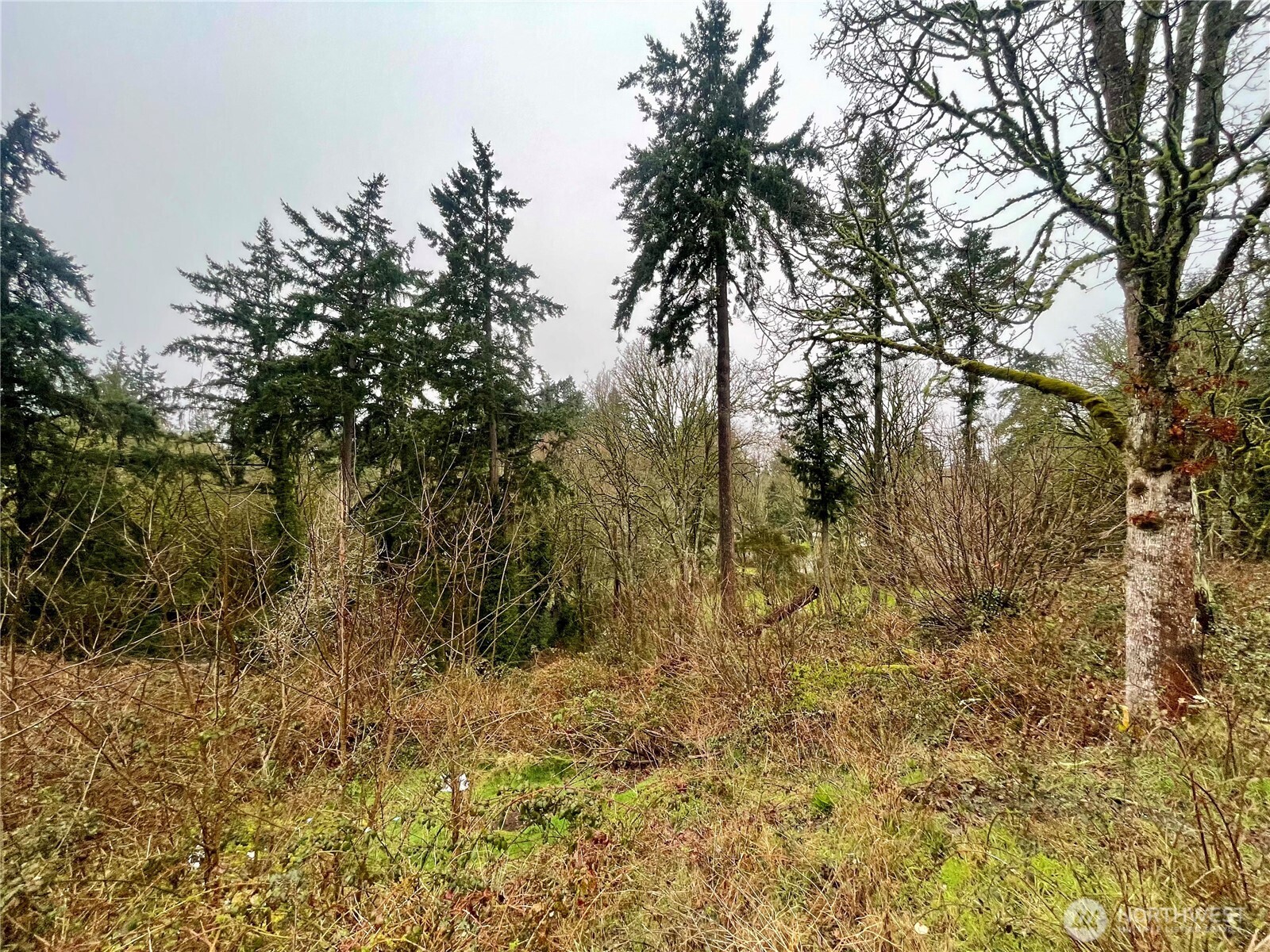 0 Edgewater Drive SW Lakewood WA 98499