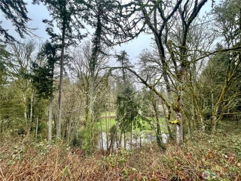 0 Edgewater Drive SW Lakewood WA 98499