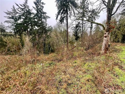 0 Edgewater Drive SW Lakewood WA 98499