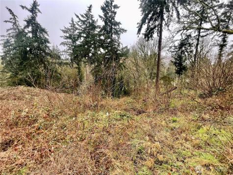 0 Edgewater Drive SW Lakewood WA 98499