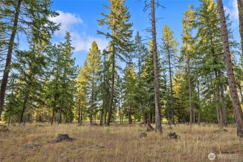 32 Domerie Park Loop Cle Elum WA 98922