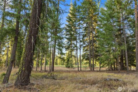 32 Domerie Park Loop Cle Elum WA 98922