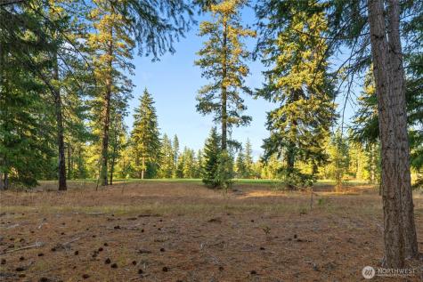 32 Domerie Park Loop Cle Elum WA 98922