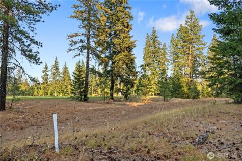 32 Domerie Park Loop Cle Elum WA 98922