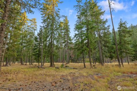 32 Domerie Park Loop Cle Elum WA 98922