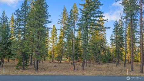 32 Domerie Park Loop Cle Elum WA 98922