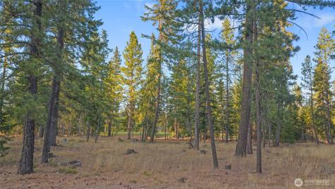 32 Domerie Park Loop Cle Elum WA 98922