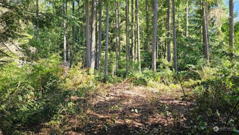 456 Little Valley Road NE Poulsbo WA 98370