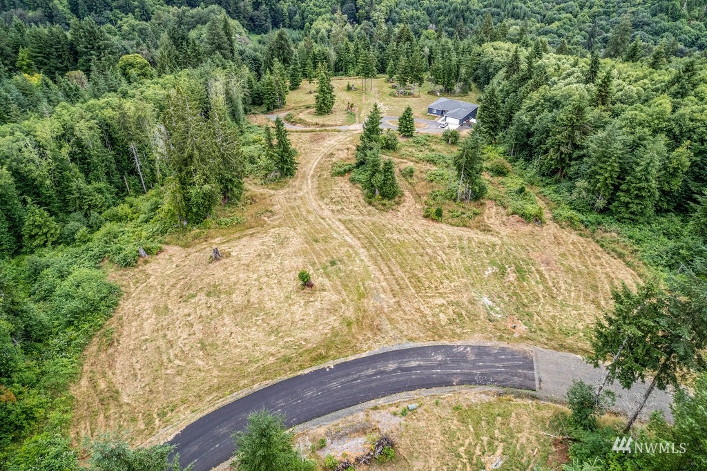 265 Bison Run Longview WA 98632
