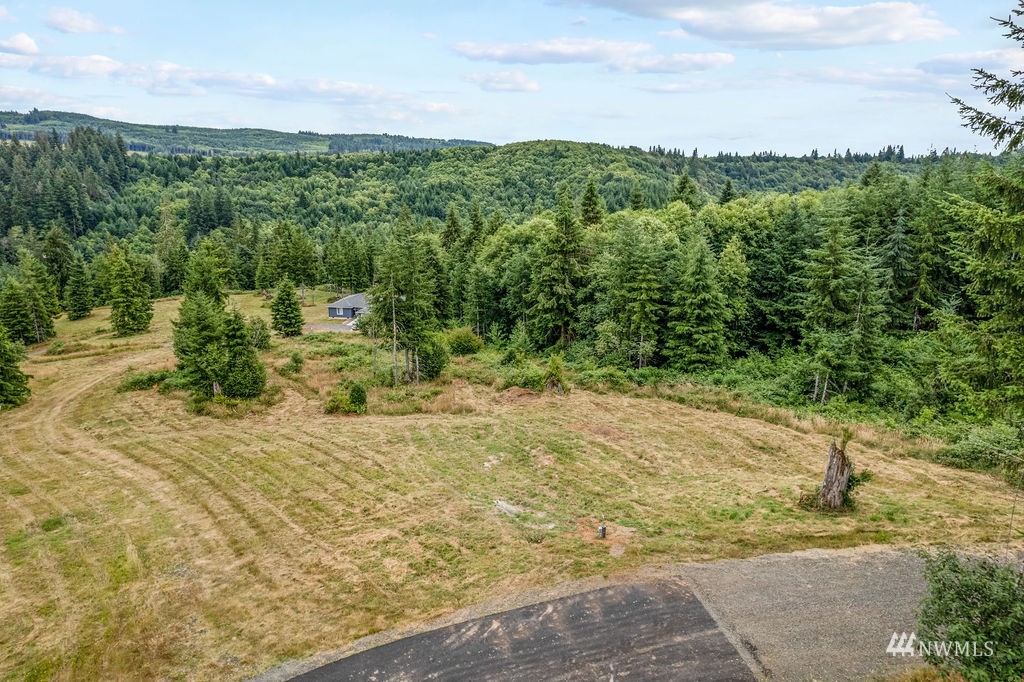 265 Bison Run Longview WA 98632