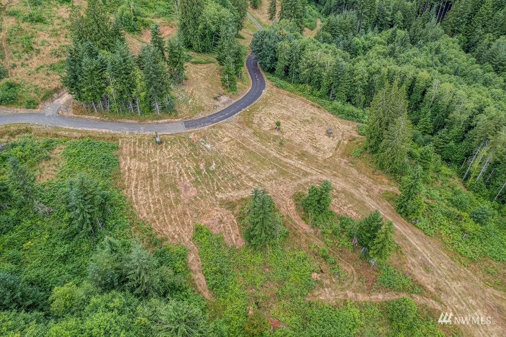 265 Bison Run Longview WA 98632