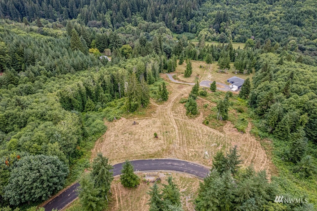 265 Bison Run Longview WA 98632