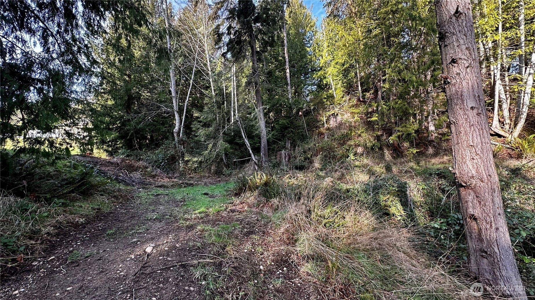 9999 Holland Drive Port Townsend WA 98368