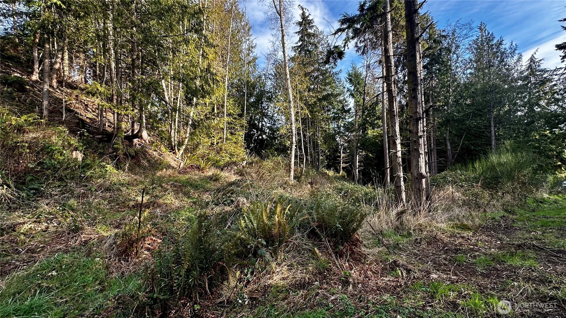 9999 Holland Drive Port Townsend WA 98368