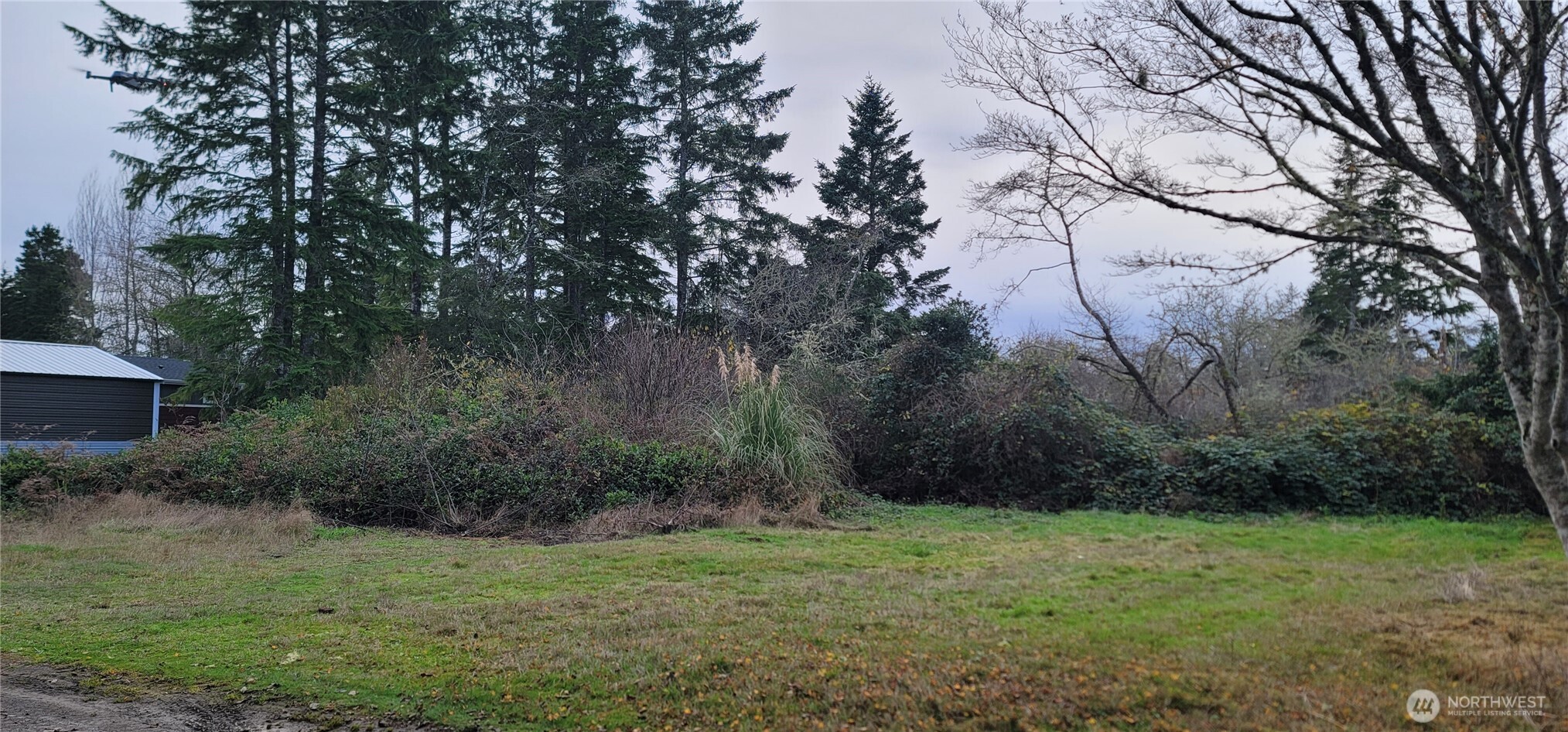 0 Y Lane Ocean Park WA 98640