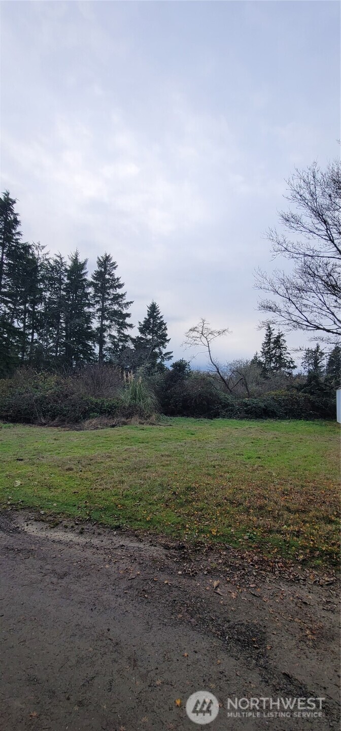 0 Y Lane Ocean Park WA 98640