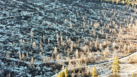 227 Red Feather Road Tonasket WA 98855