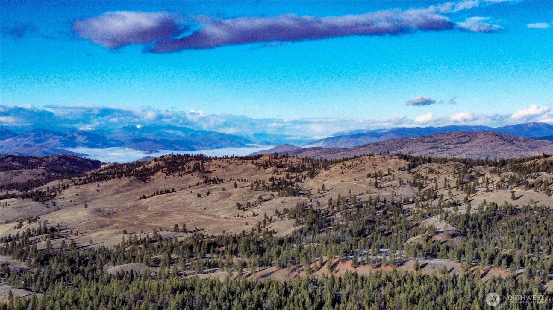 227 Red Feather Road Tonasket WA 98855