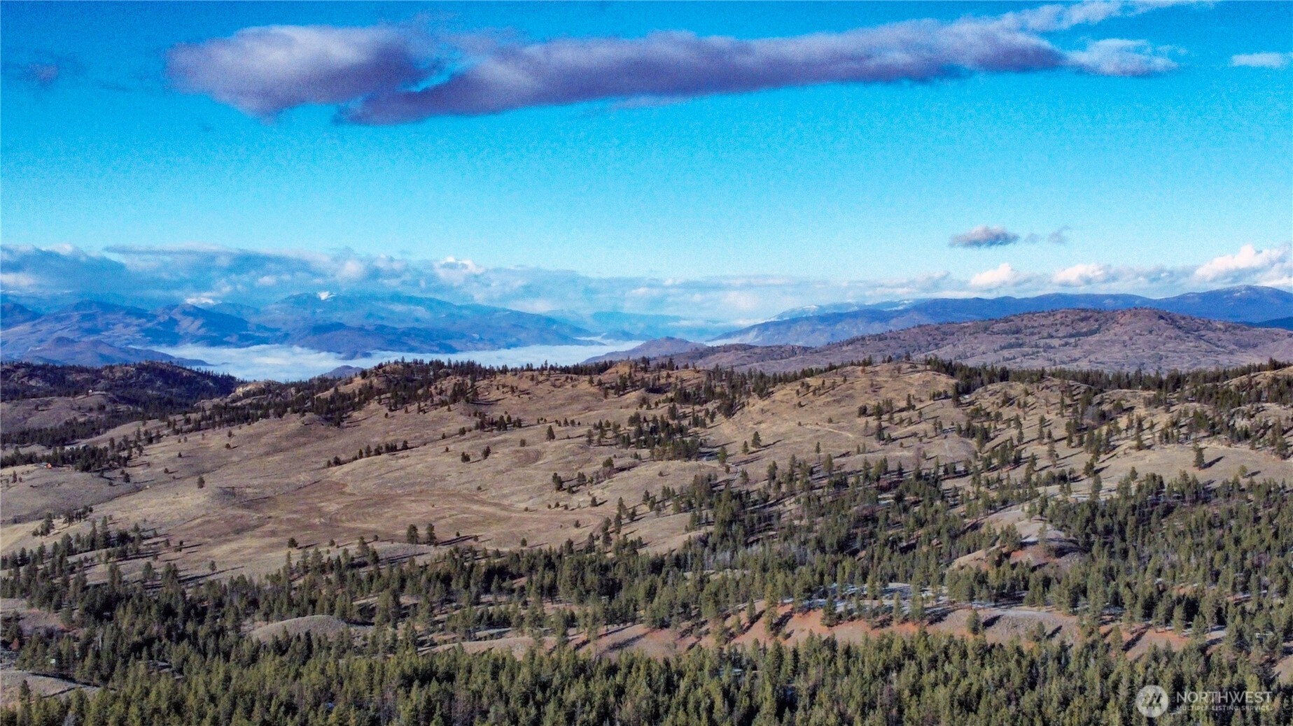 227 Red Feather Road Tonasket WA 98855