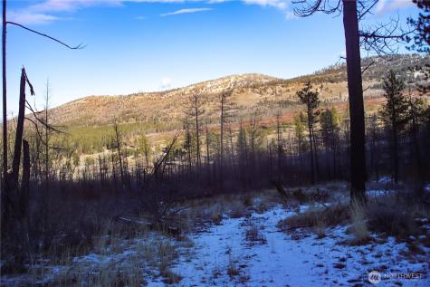 227 Red Feather Road Tonasket WA 98855