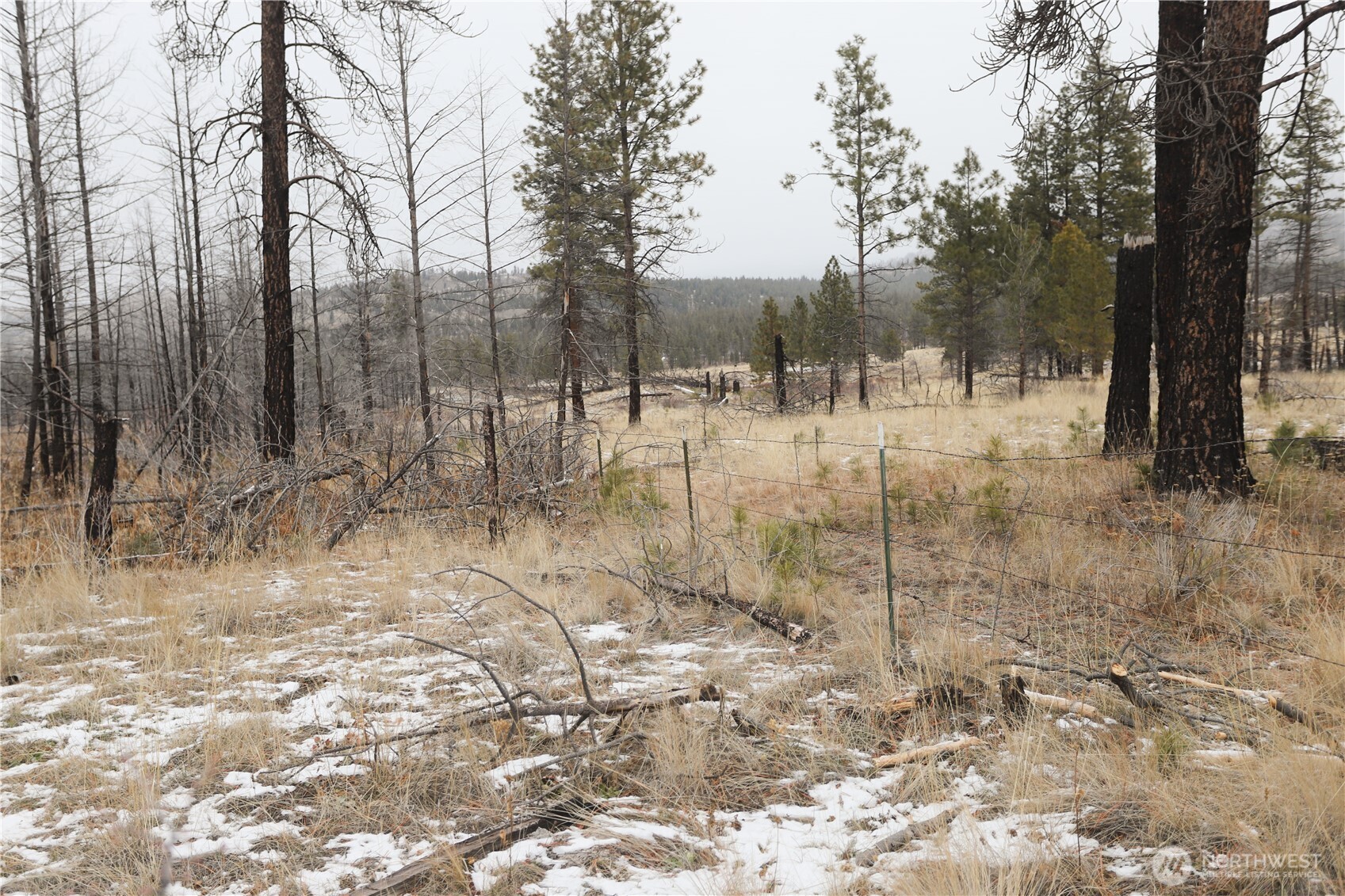 227 Red Feather Road Tonasket WA 98855