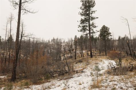 227 Red Feather Road Tonasket WA 98855