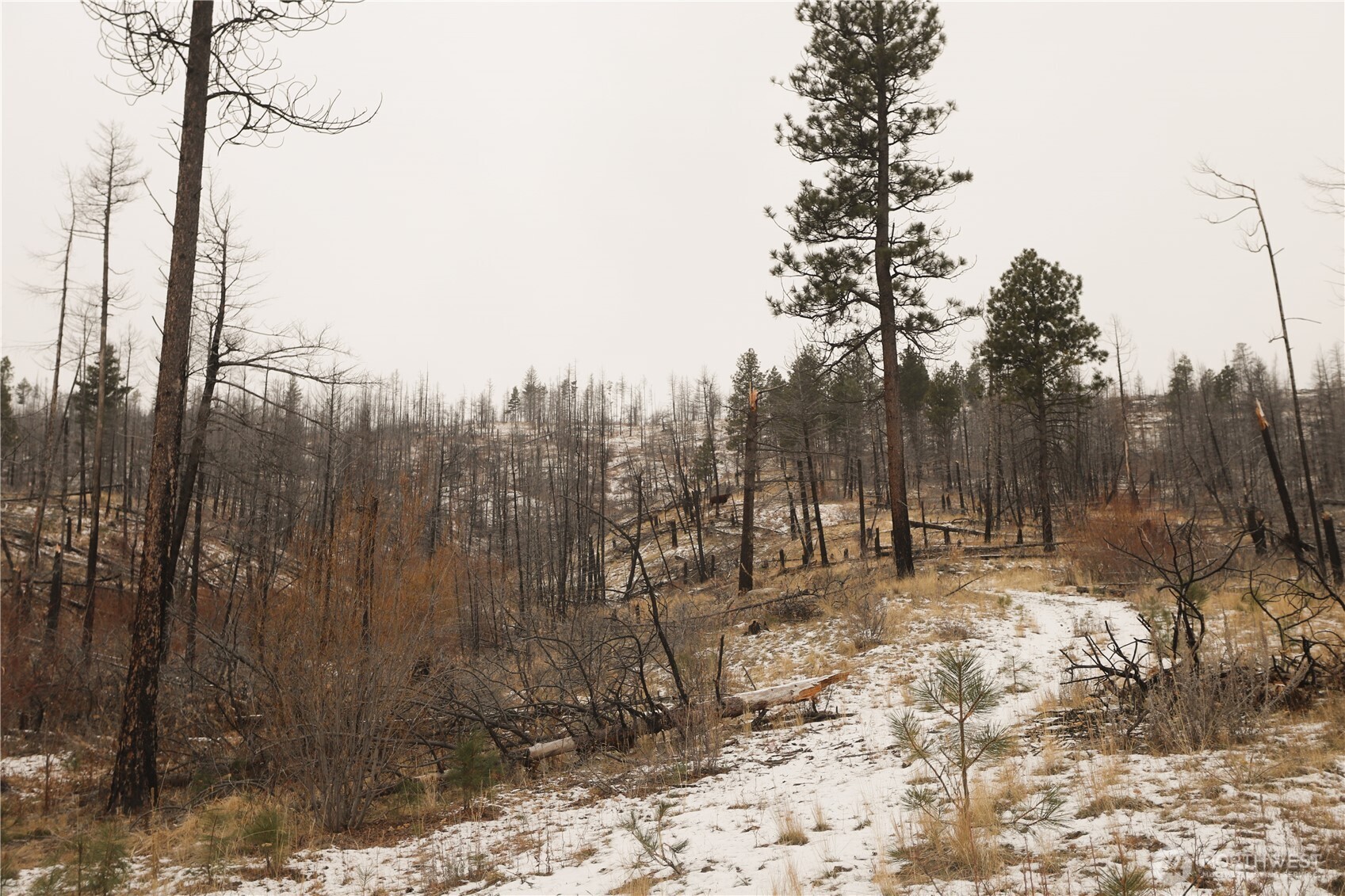 227 Red Feather Road Tonasket WA 98855