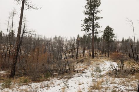 227 Red Feather Road Tonasket WA 98855