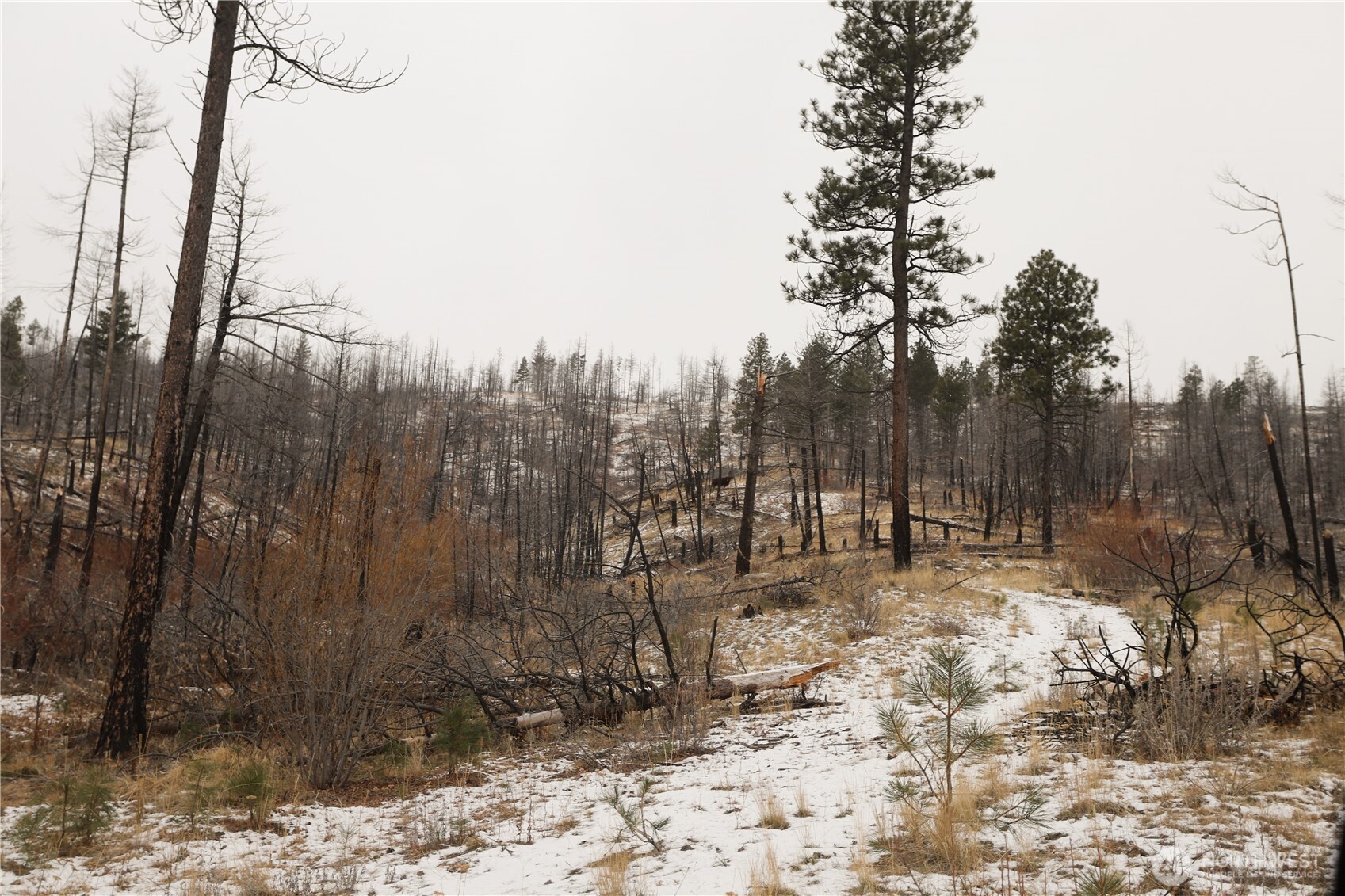227 Red Feather Road Tonasket WA 98855