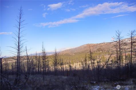 227 Red Feather Road Tonasket WA 98855