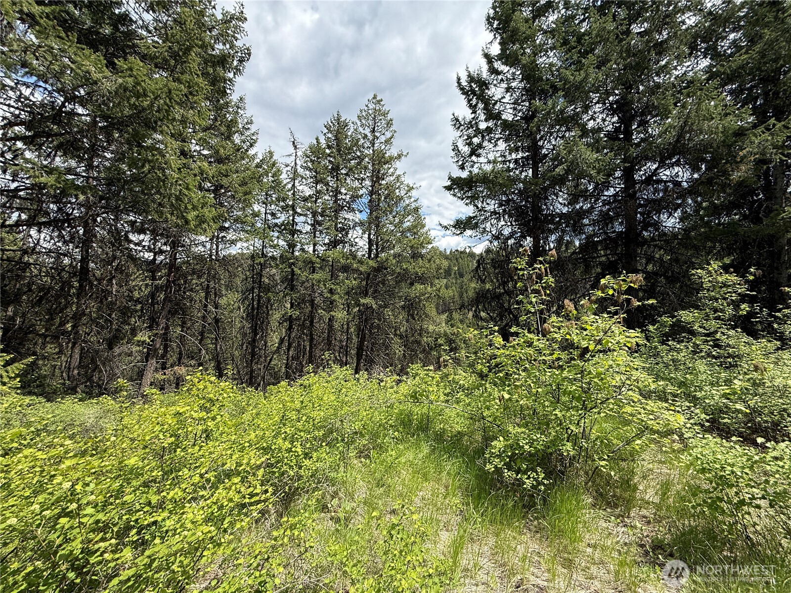 0 Slippery Hill Road Republic WA 99166