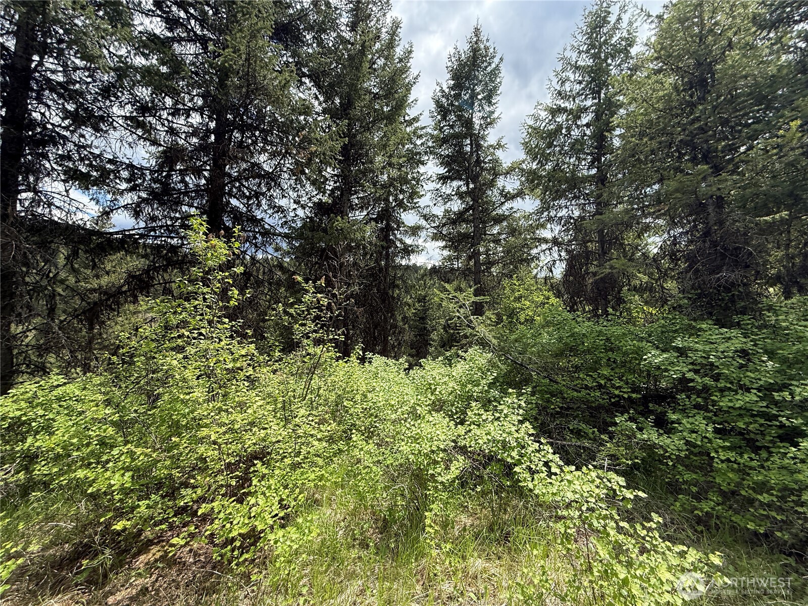 0 Slippery Hill Road Republic WA 99166