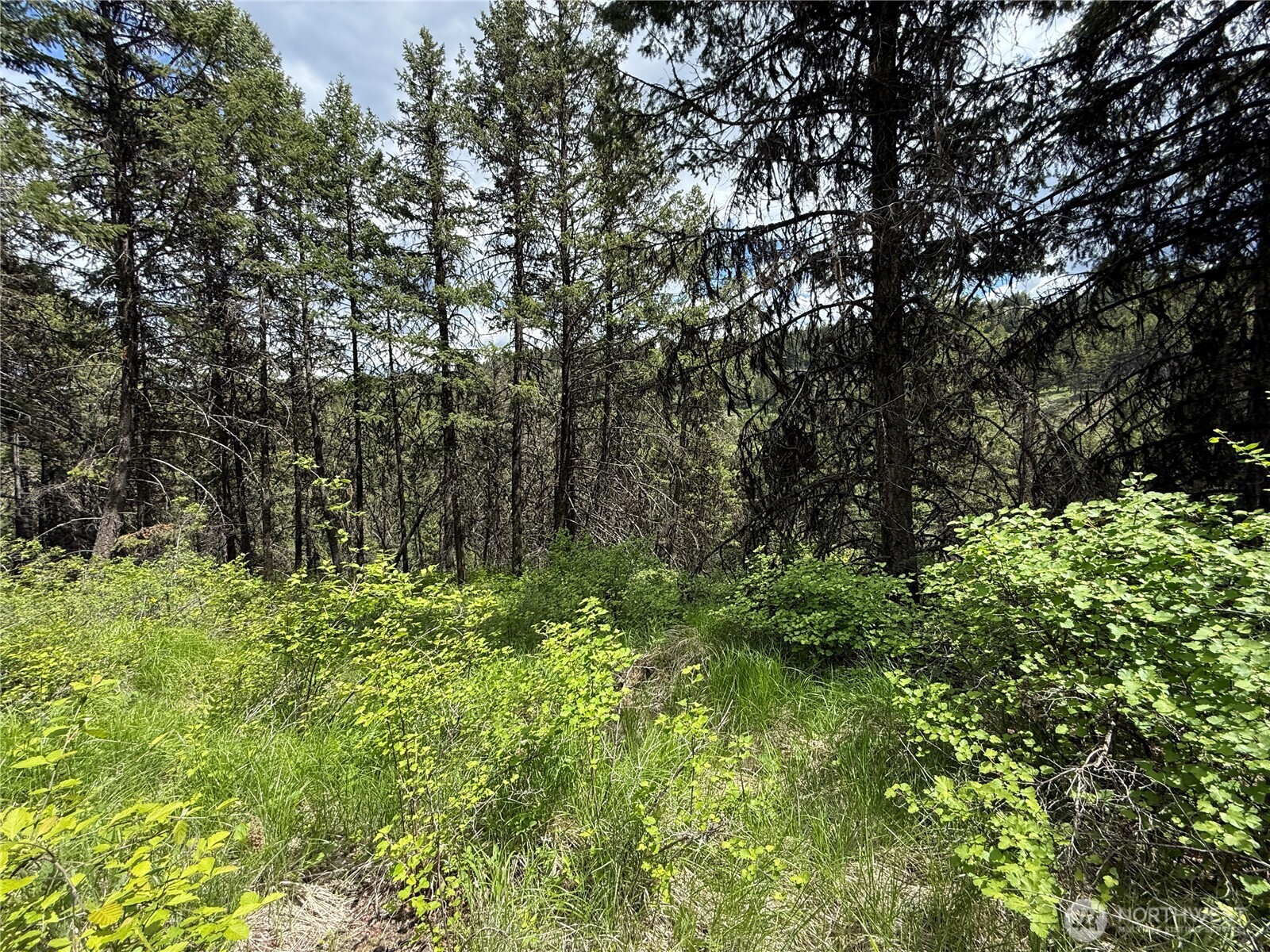 0 Slippery Hill Road Republic WA 99166