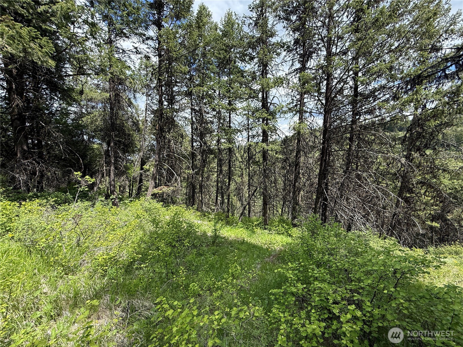 0 Slippery Hill Road Republic WA 99166