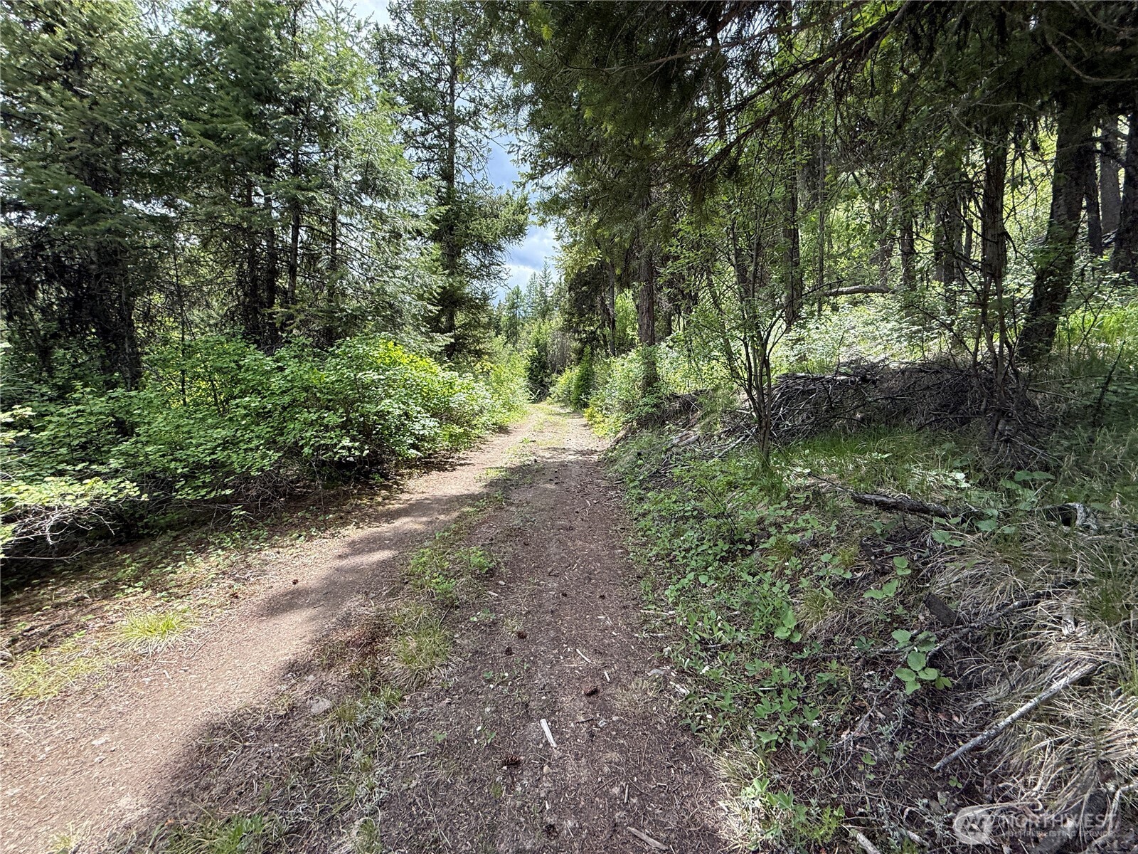 0 Slippery Hill Road Republic WA 99166
