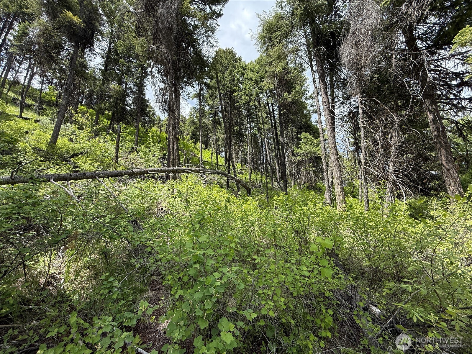 0 Slippery Hill Road Republic WA 99166