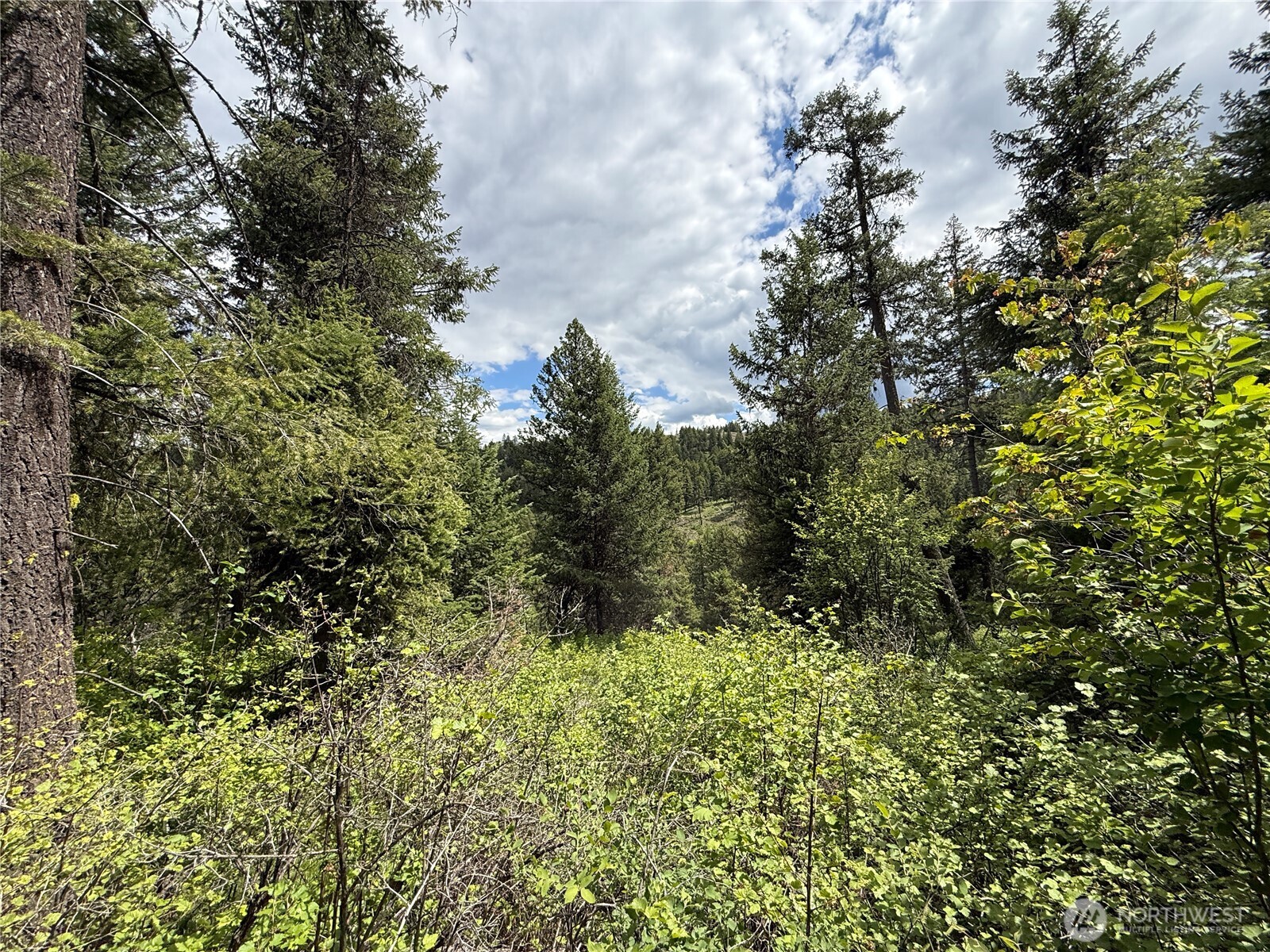 0 Slippery Hill Road Republic WA 99166