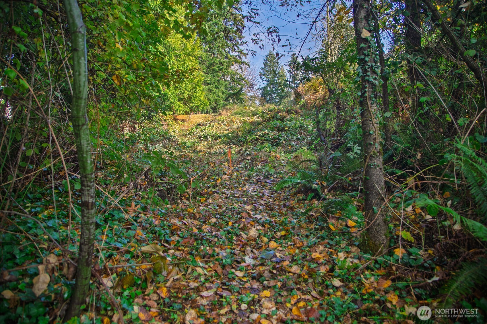 33401 E Lake Holm Drive SE Auburn WA 98092
