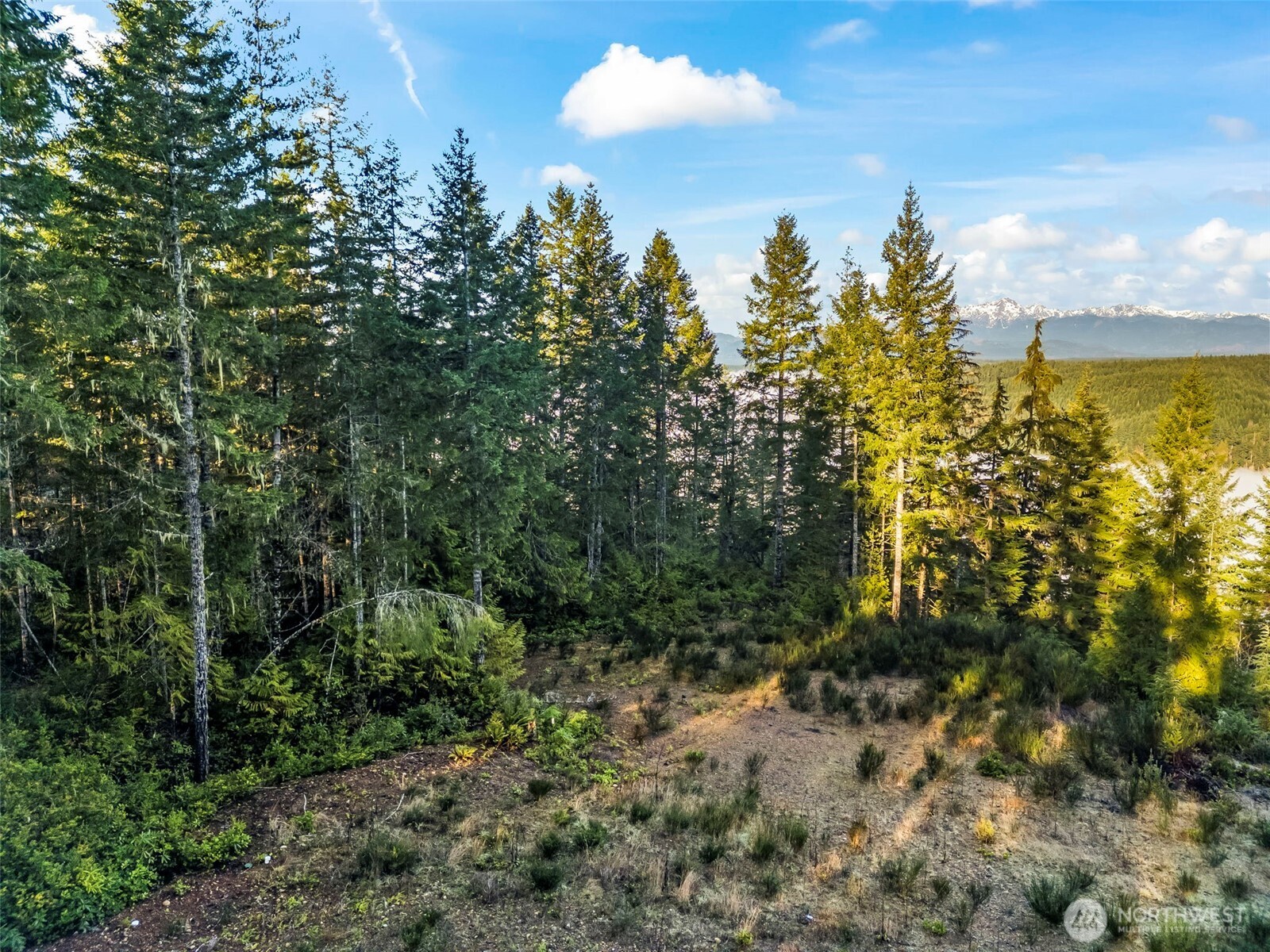1123 E Timber Tides Drive Union WA 98592
