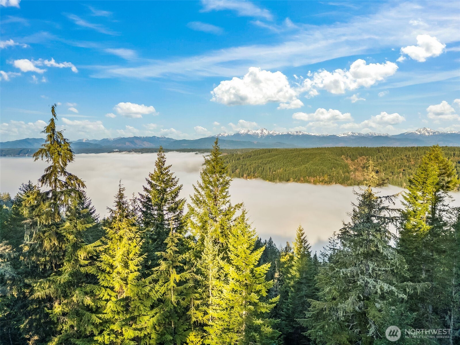1123 E Timber Tides Drive Union WA 98592