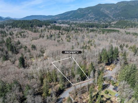 0 Fairway Drive Ashford WA 98304