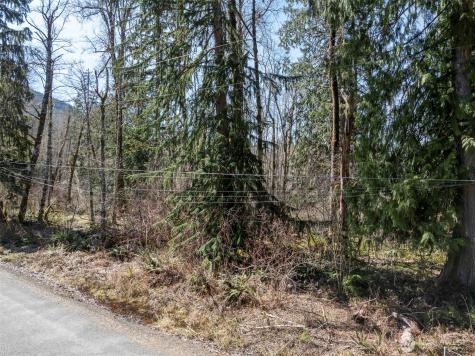0 Fairway Drive Ashford WA 98304