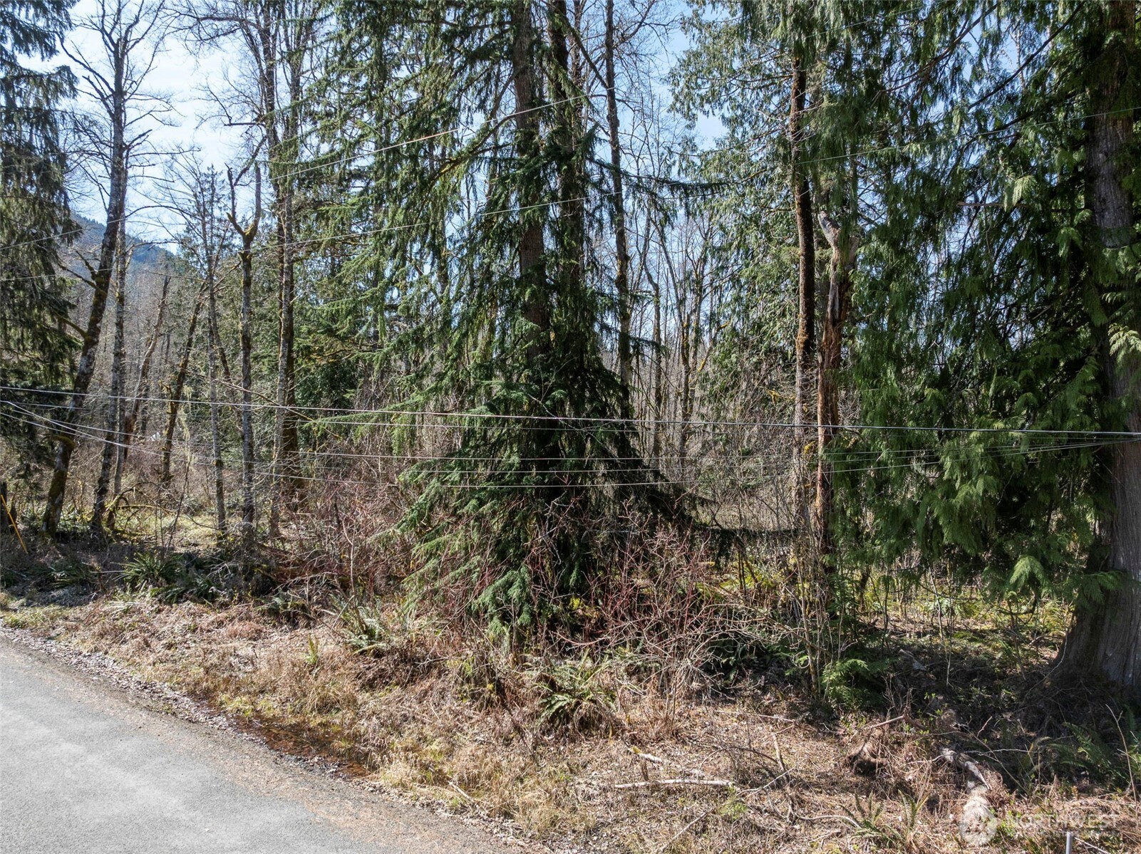 0 Fairway Drive Ashford WA 98304