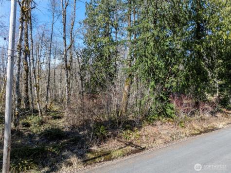 0 Fairway Drive Ashford WA 98304