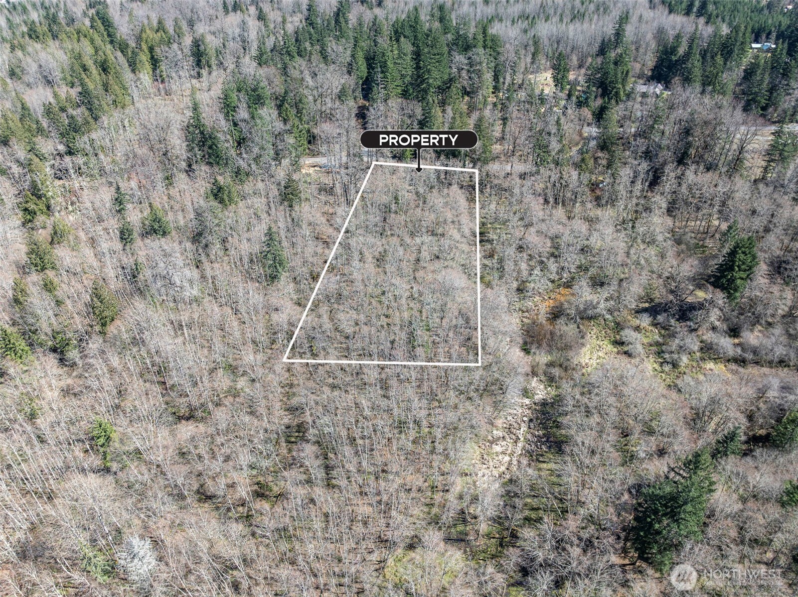 0 Fairway Drive Ashford WA 98304