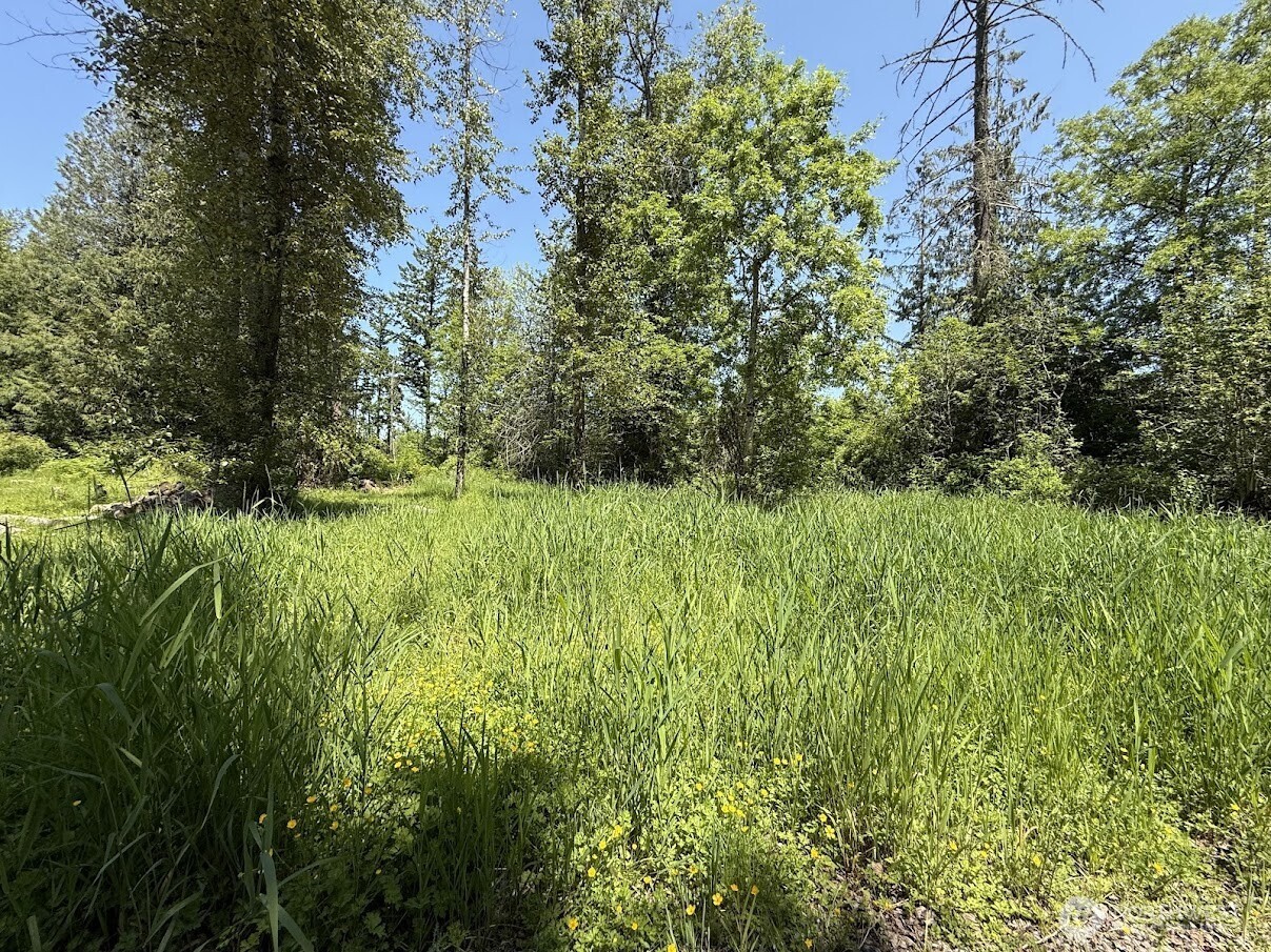 22110 70th Avenue E Spanaway WA 98387