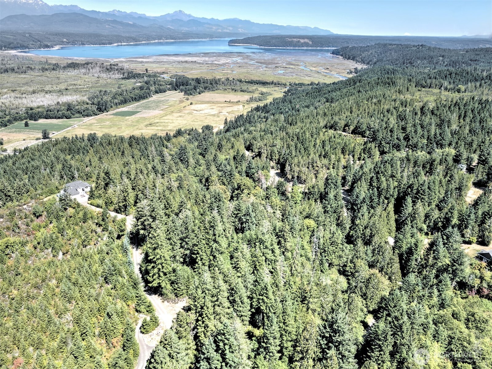 12 Webb Hill Road Union WA 98592